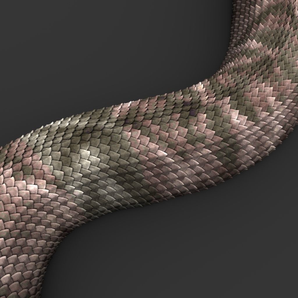Snake 3D model_7