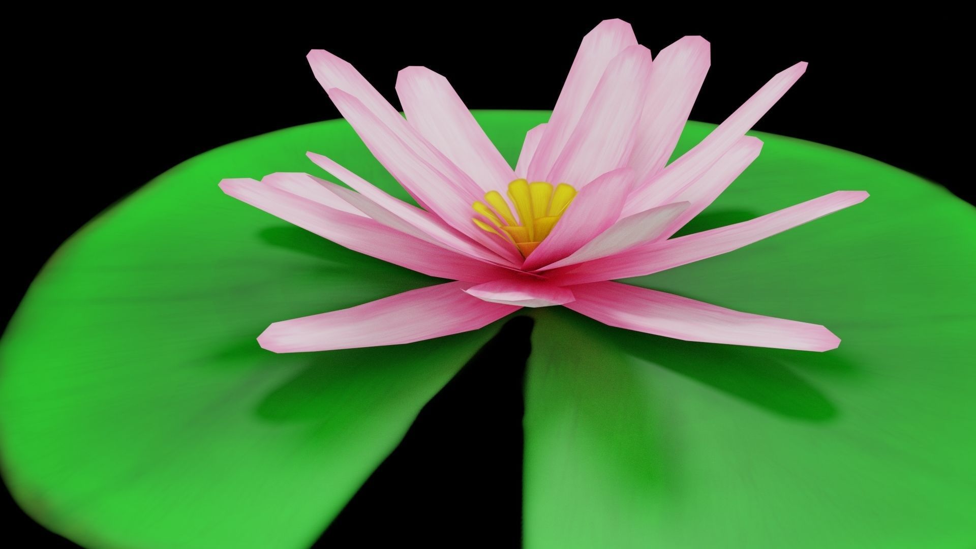 Lily Pad Low-poly 3D model_2