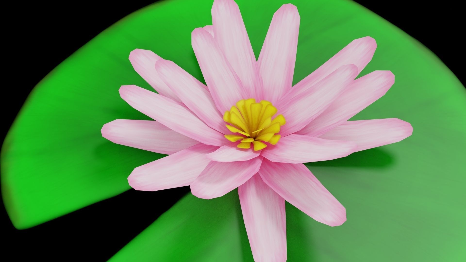 Lily Pad Low-poly 3D model_4