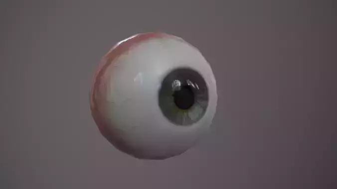 Human Eye Low-poly 3D model