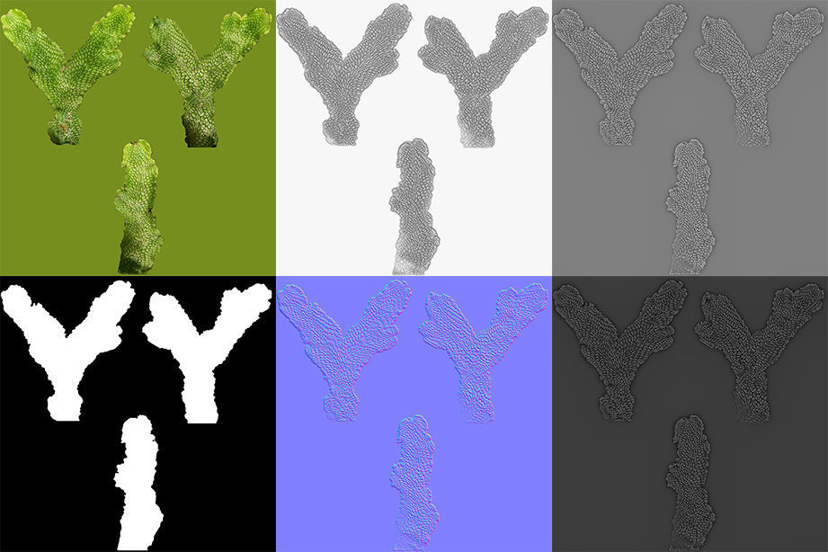 Moss lichen Grean Low-poly 3D model_9