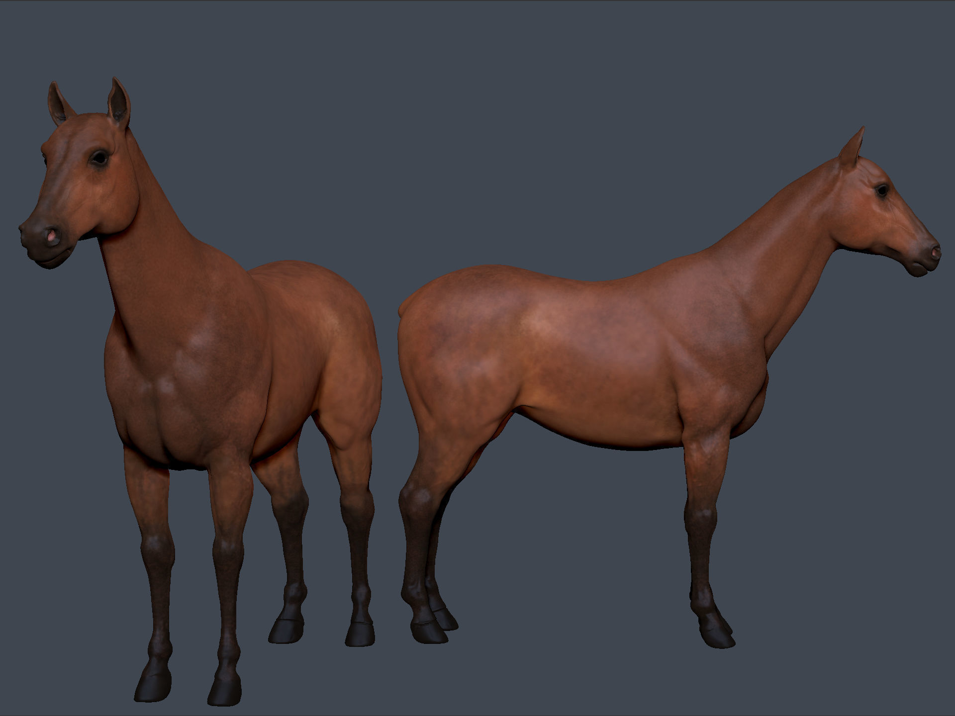 Crescent Moon Games RPG Character Medieval Fantasy Pack Low-poly 3D model_8