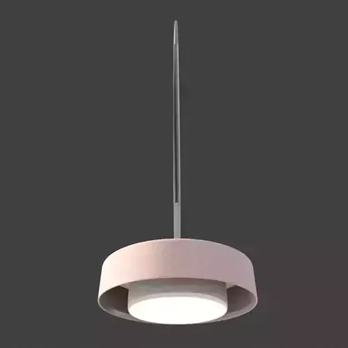 Ceiling Light