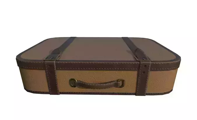 Luggage suit case