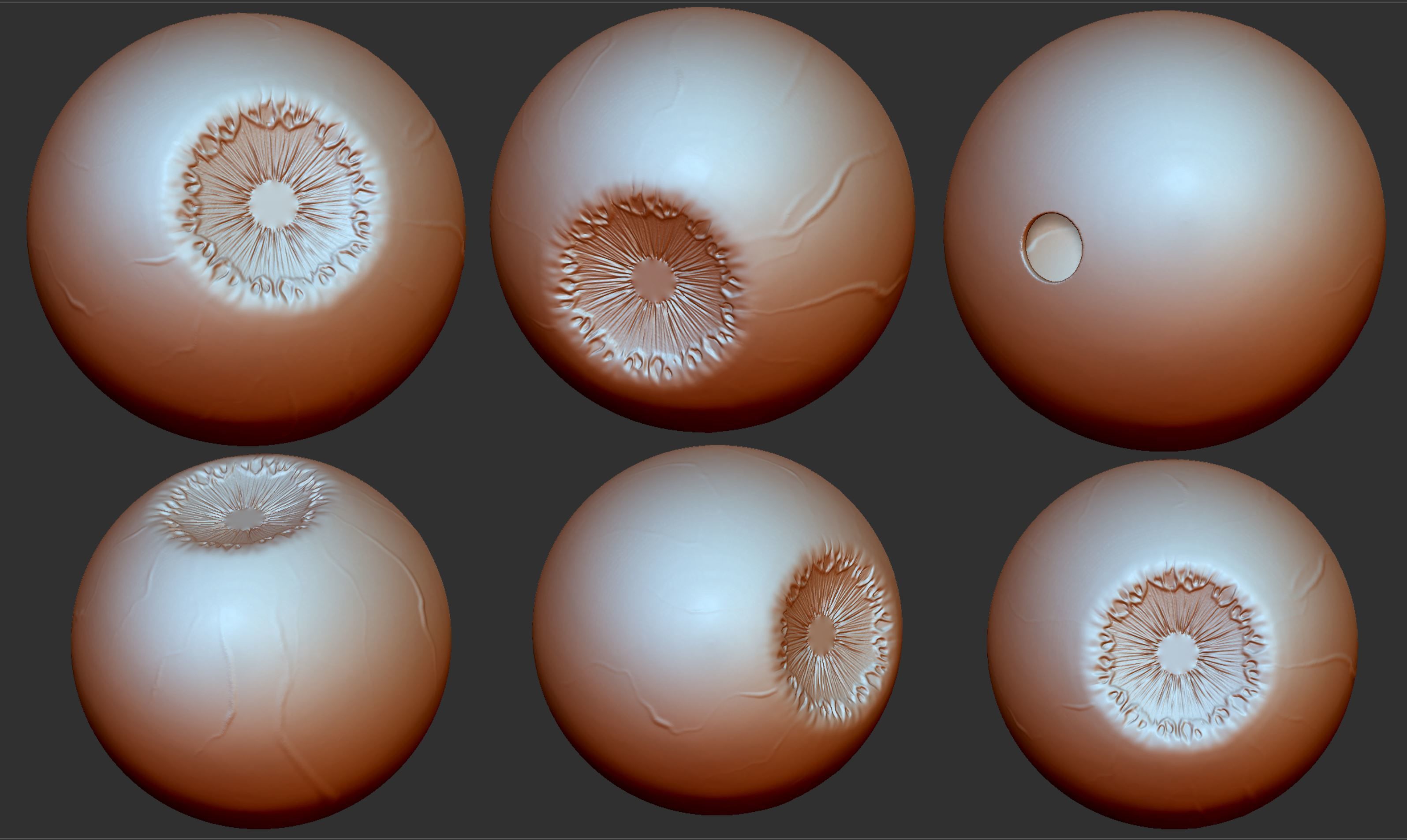 EYEBALL MODEL FOR TOYS 3D print model_1