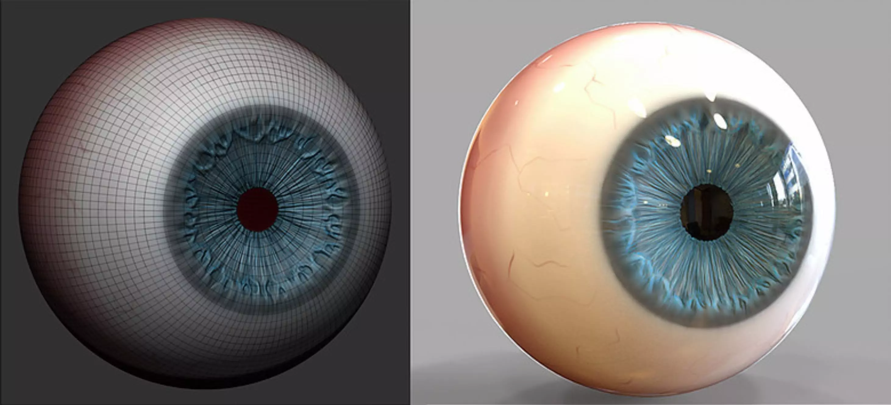 EYEBALL MODEL FOR TOYS 3D print model_0