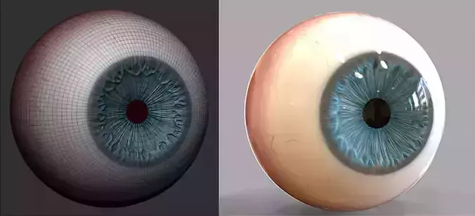 EYEBALL MODEL FOR TOYS