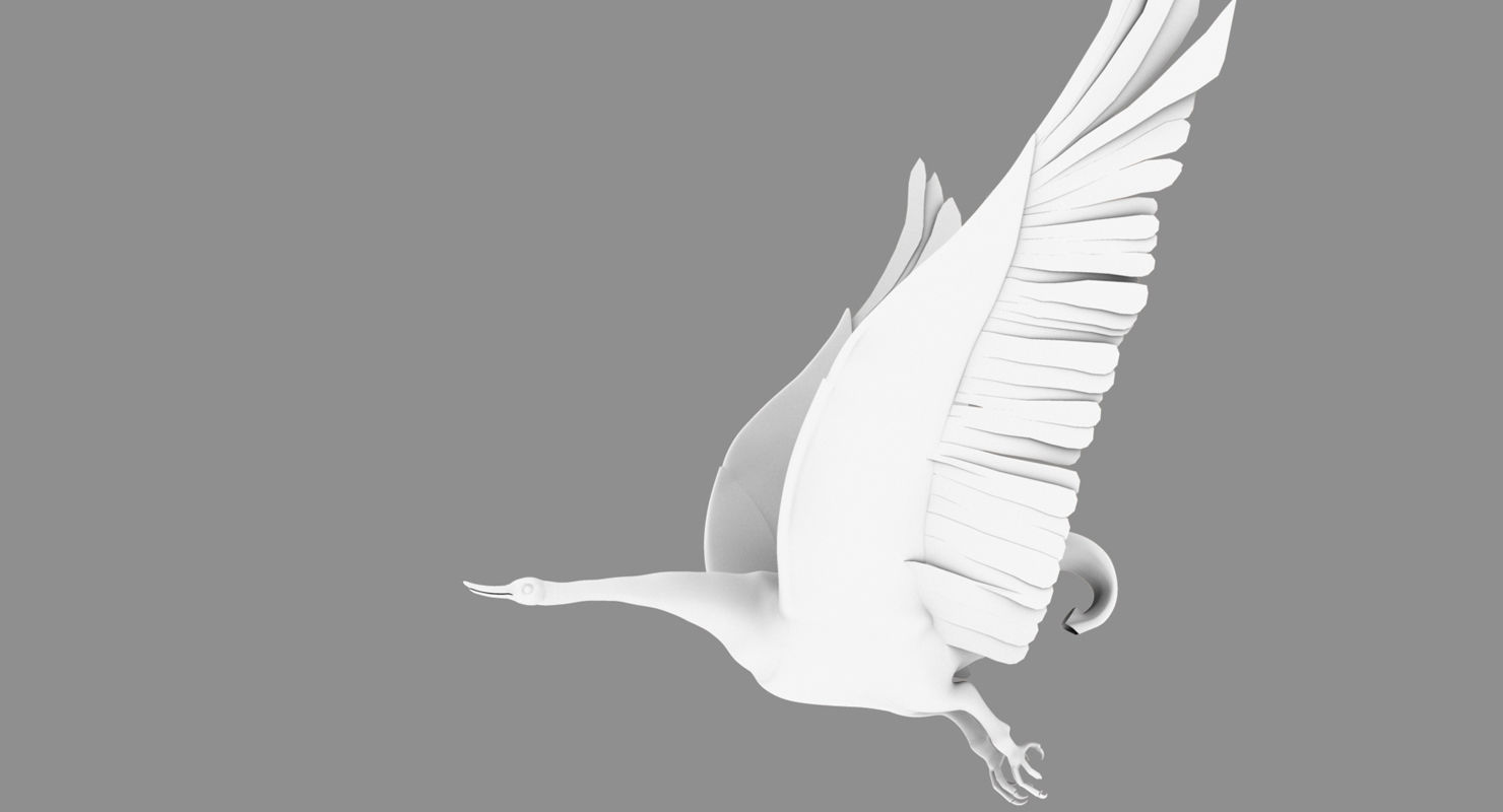 swan rigged flying animation model 3D model_14