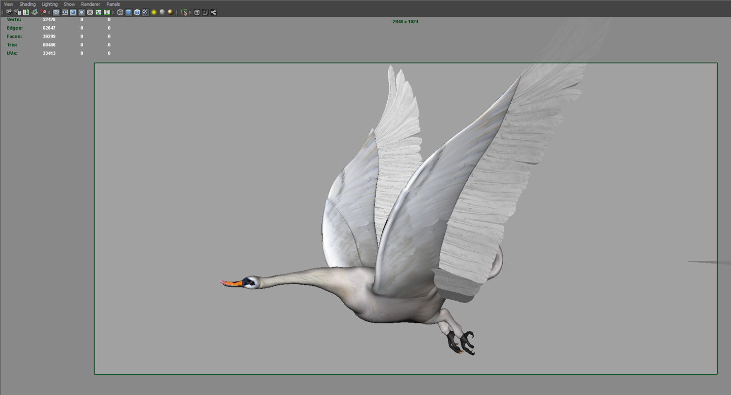 swan 3d model flying in air 3D model_16
