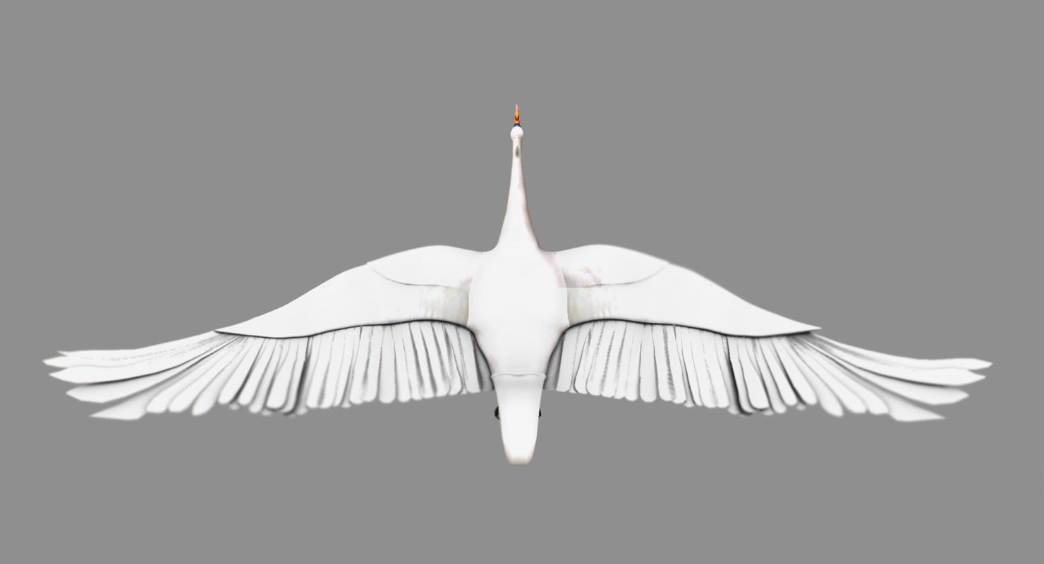 swan 3d model flying in air 3D model_9