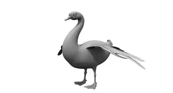swan 3d model