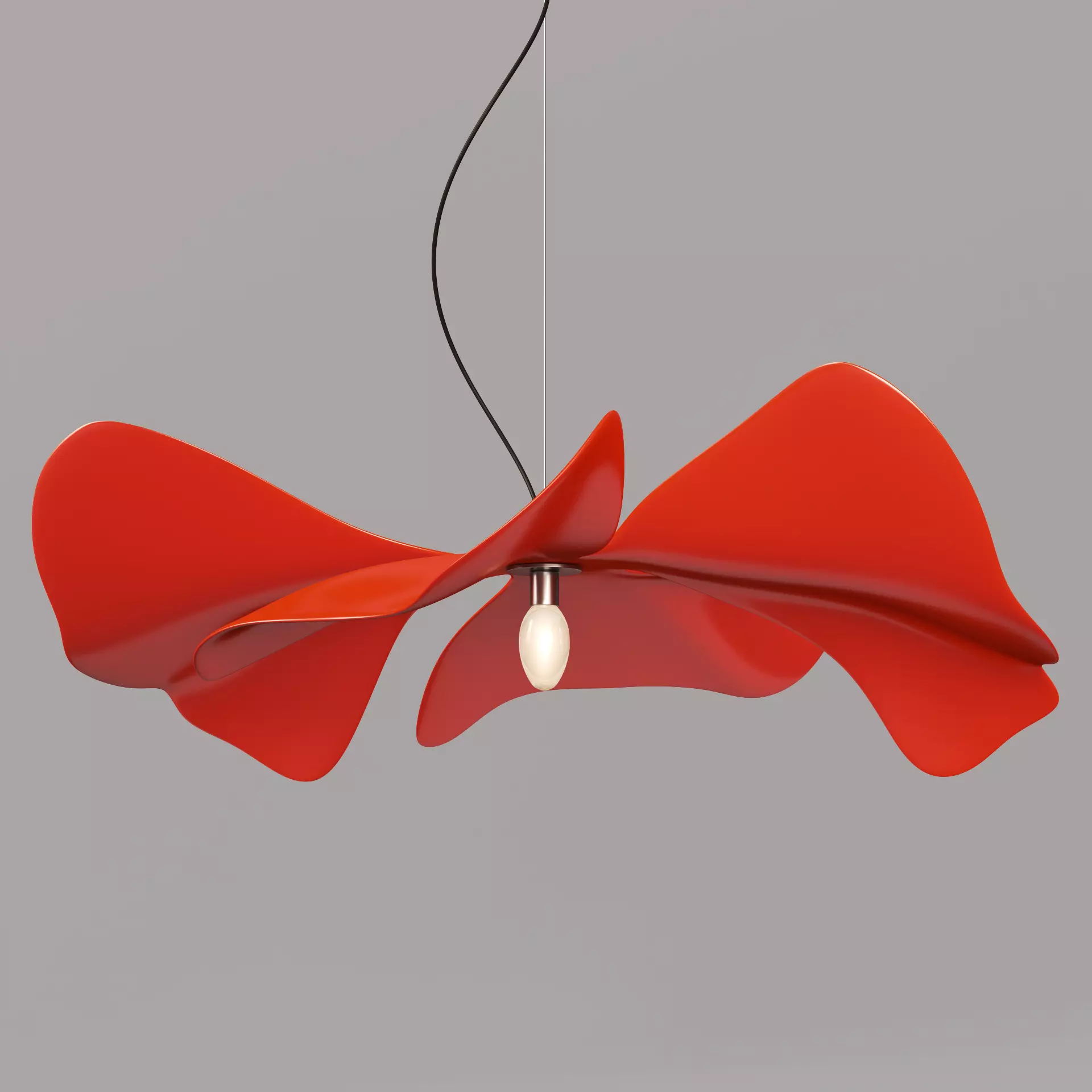 Papavero Raggiante 3D model_0