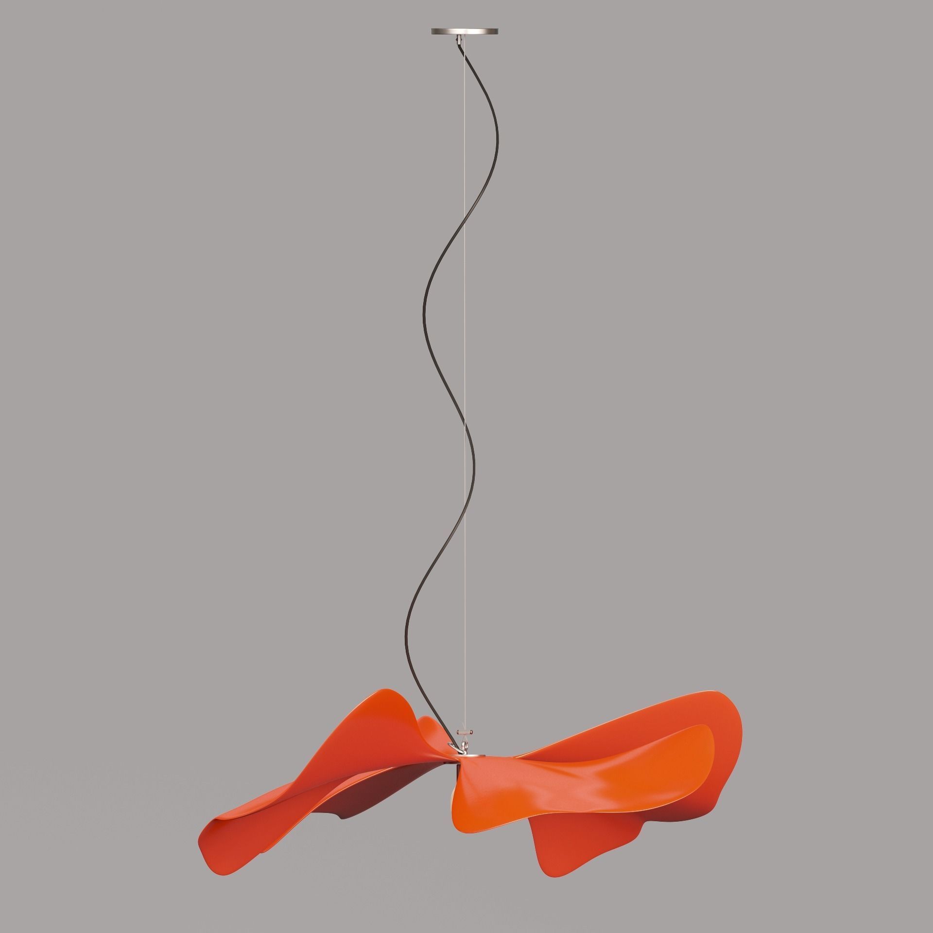 Papavero Raggiante 3D model_3