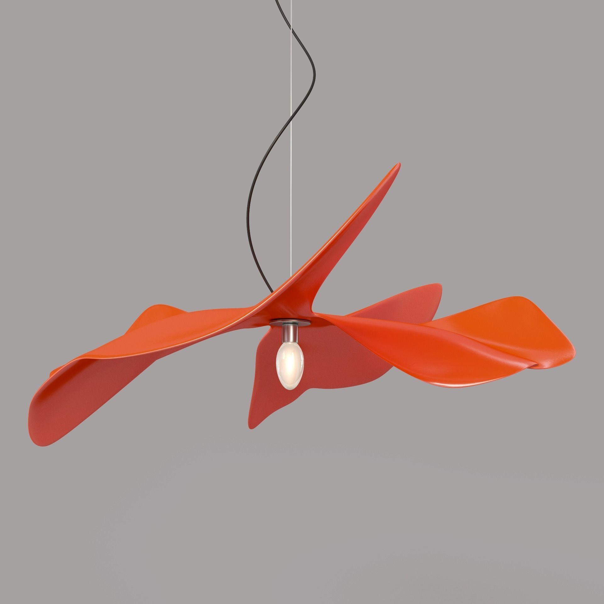 Papavero Raggiante 3D model_5