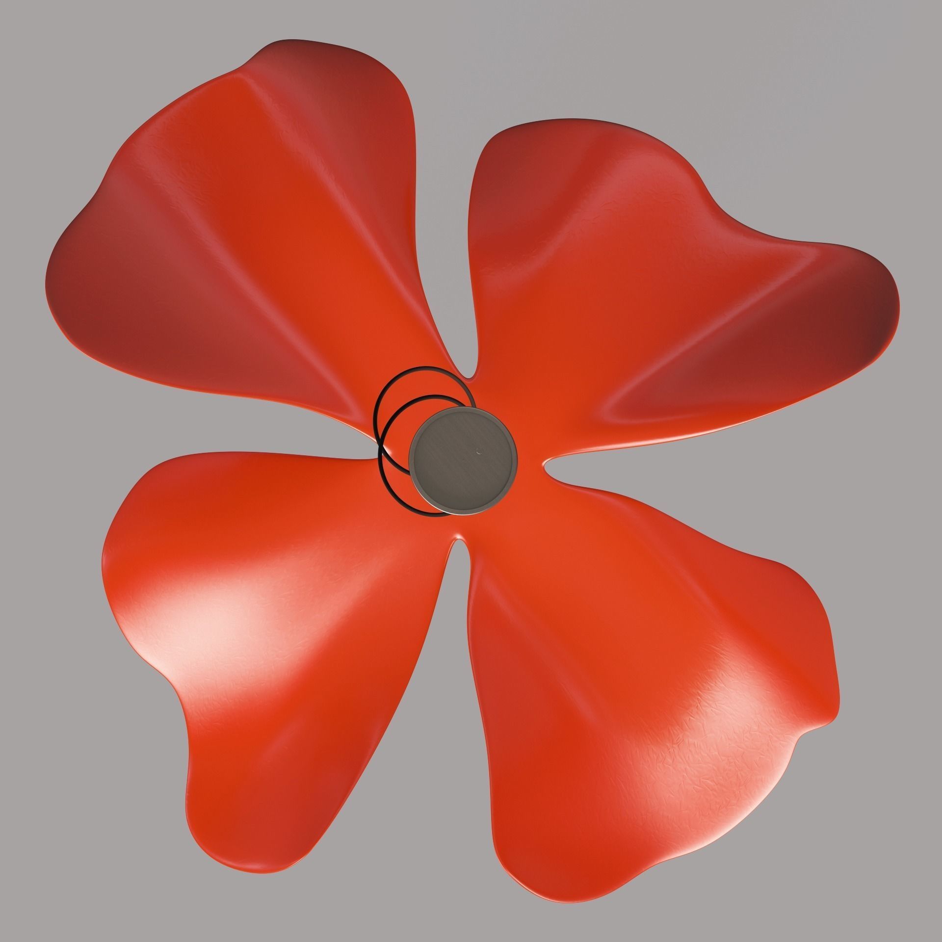 Papavero Raggiante 3D model_4