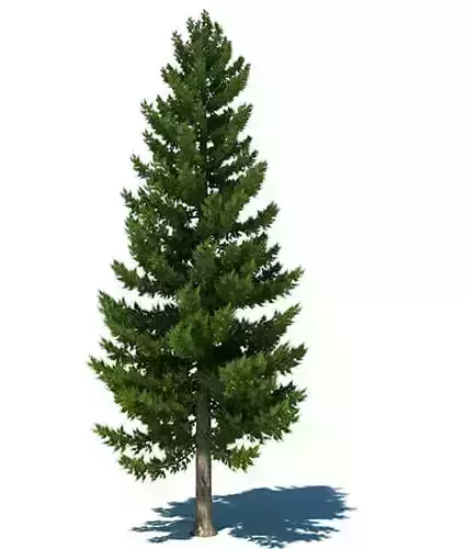 Different 60 Trees Pack 2