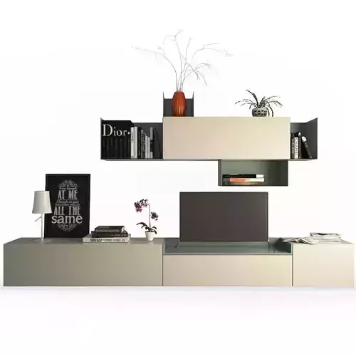 Contemporary TV Furniture