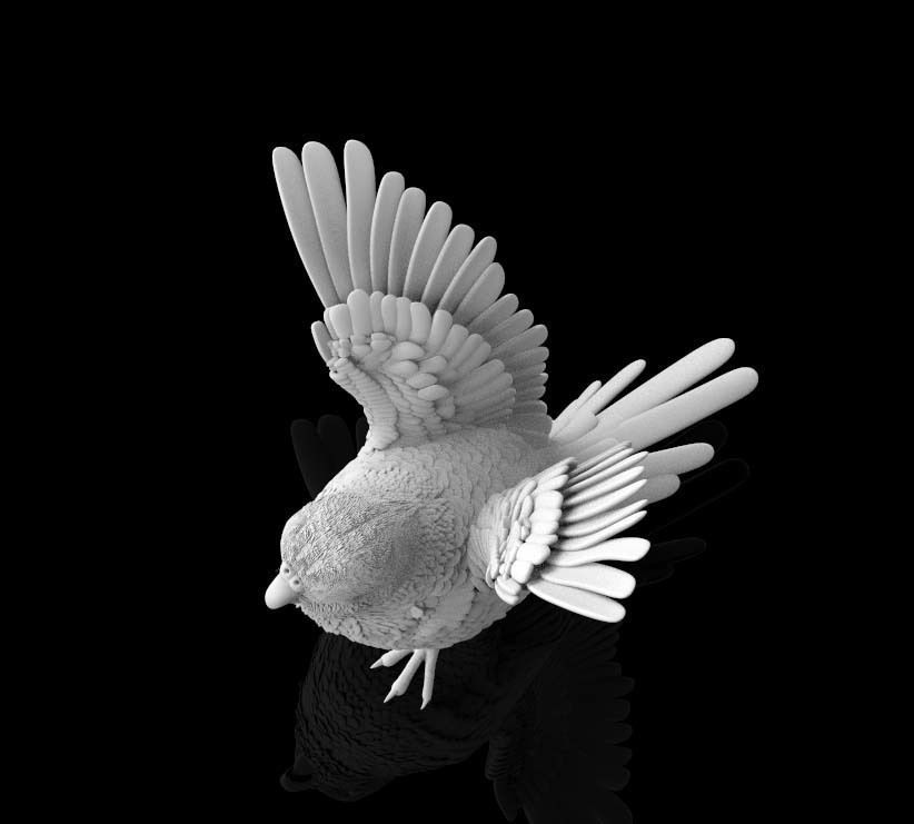 parrot bird with wings spread 3D print model_6
