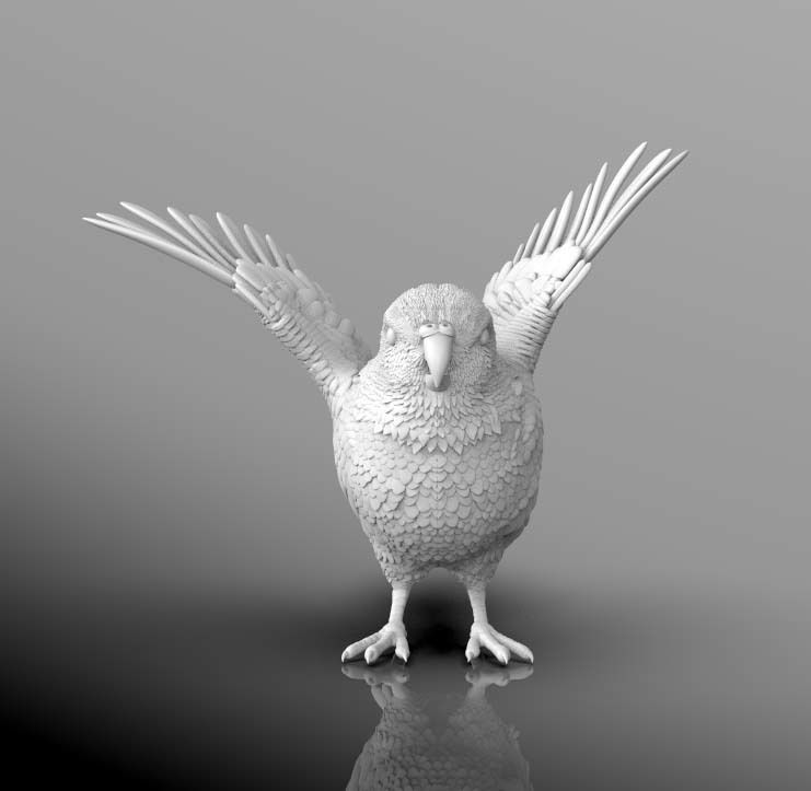 parrot bird with wings spread 3D print model_4