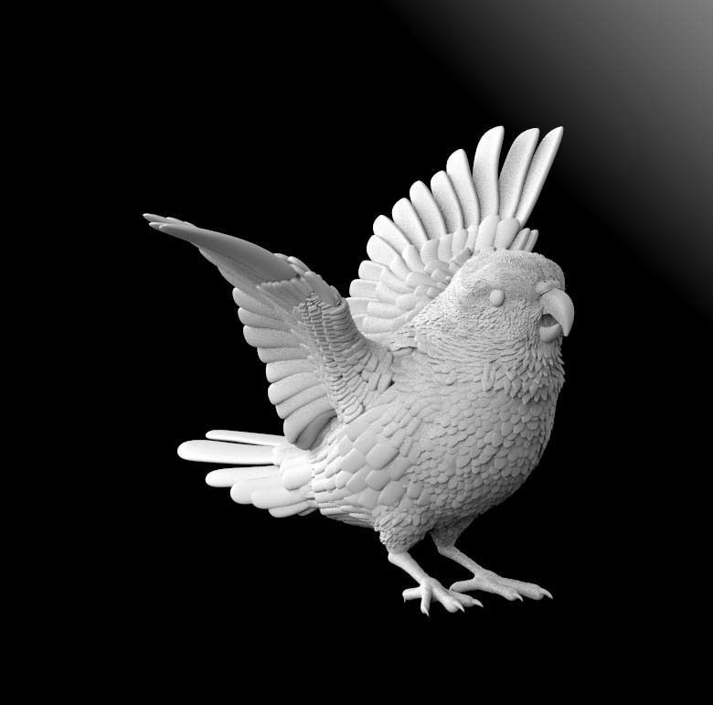 parrot bird with wings spread 3D print model_2