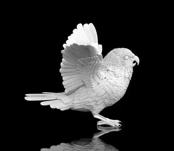 parrot bird with wings spread