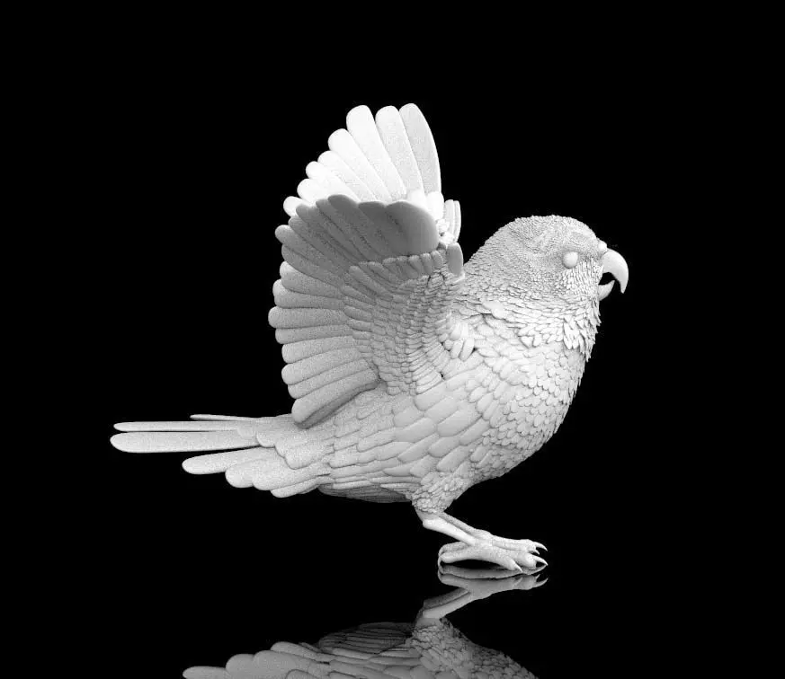 parrot bird with wings spread 3D print model_0