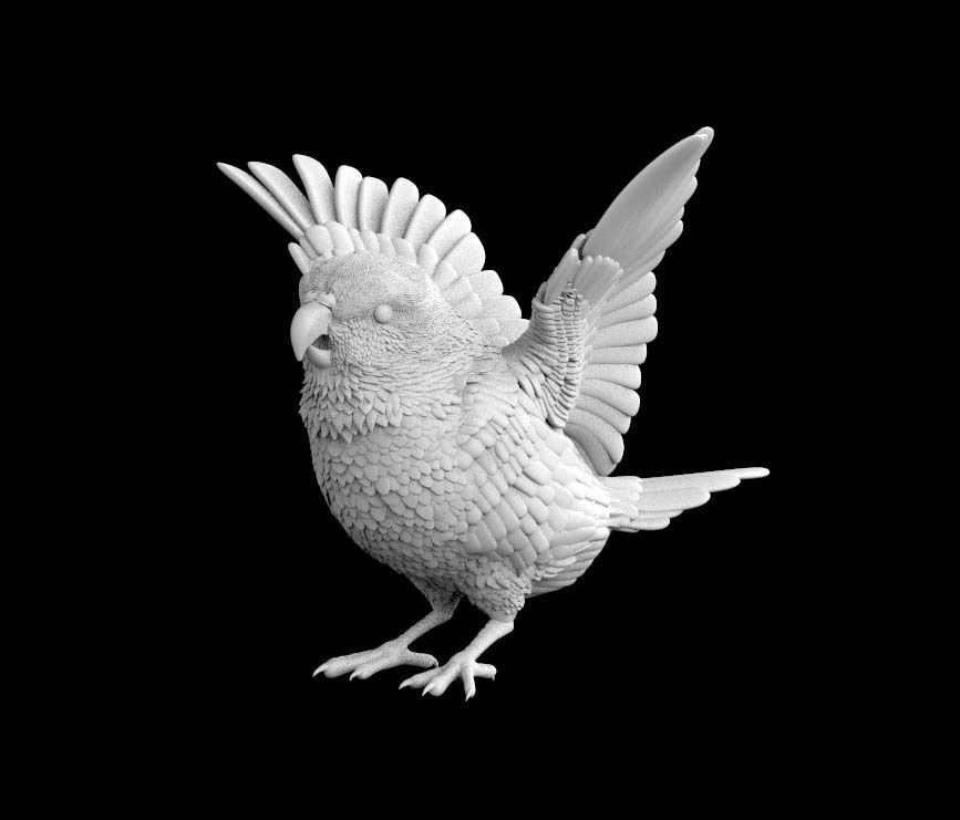 parrot bird with wings spread 3D print model_10