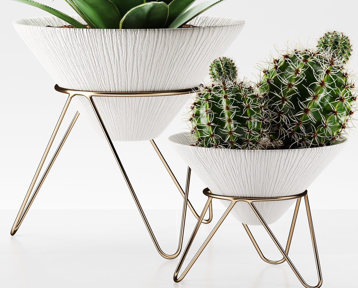 plants 225 3D model_3