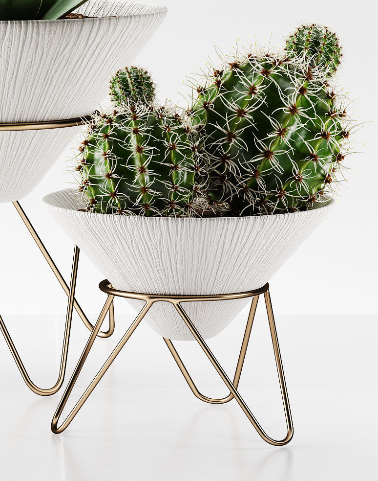 plants 225 3D model_2