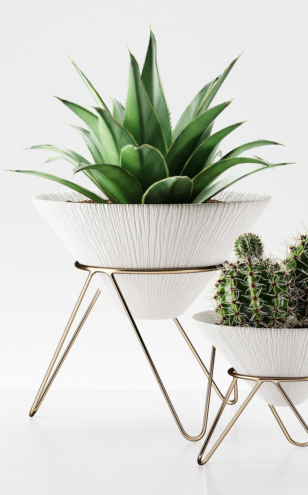 plants 225 3D model_1