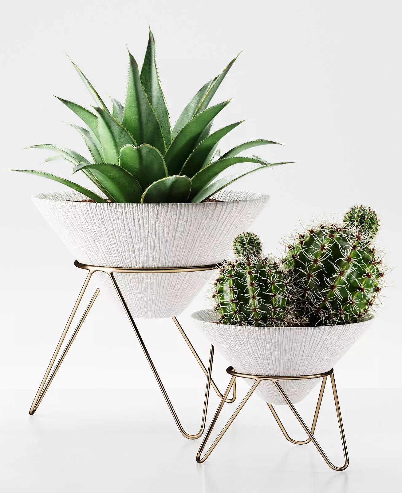 plants 225 3D model_0