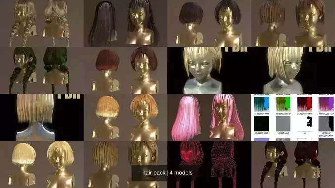 hair pack 3D Model Collection