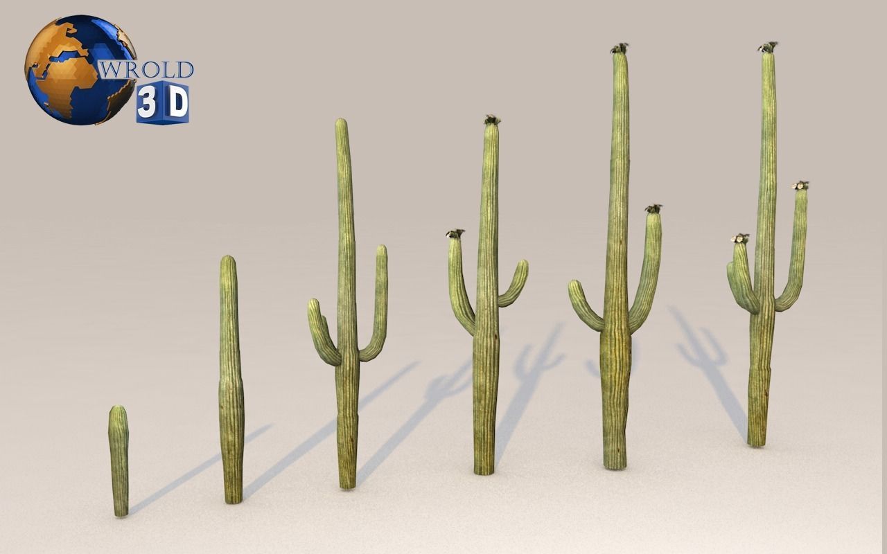 Lowpoly Desert Plant Collection Pack 3D Model Low-poly 3D model_1