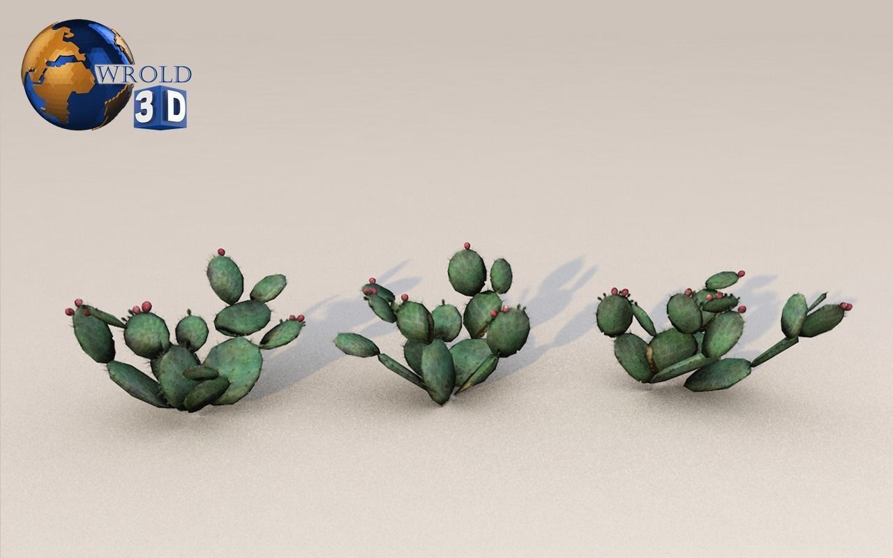 Lowpoly Desert Plant Collection Pack 3D Model Low-poly 3D model_3