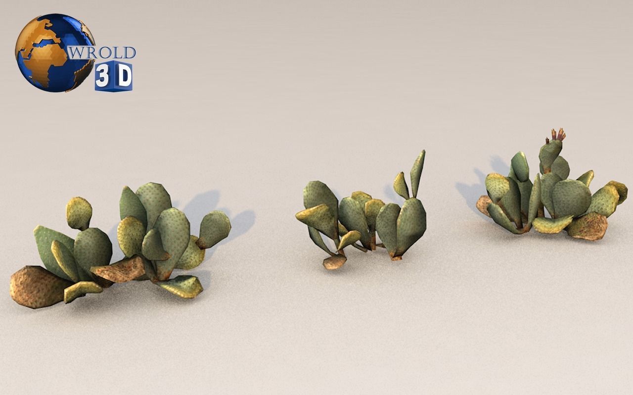 Lowpoly Desert Plant Collection Pack 3D Model Low-poly 3D model_2