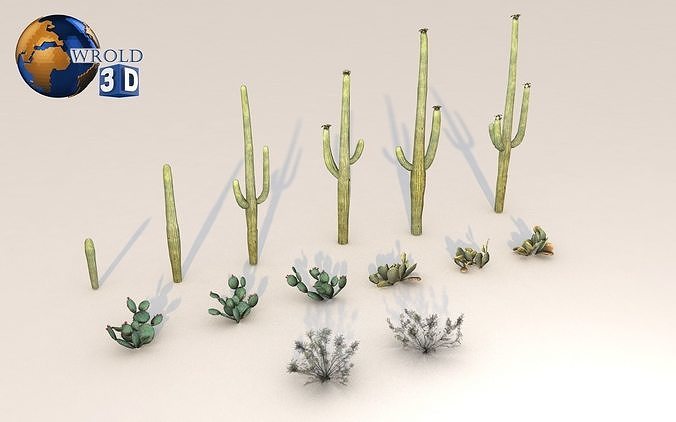 Lowpoly Desert Plant Collection Pack 3D Model Low-poly 3D model