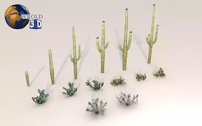Lowpoly Desert Plant Collection Pack 3D Model