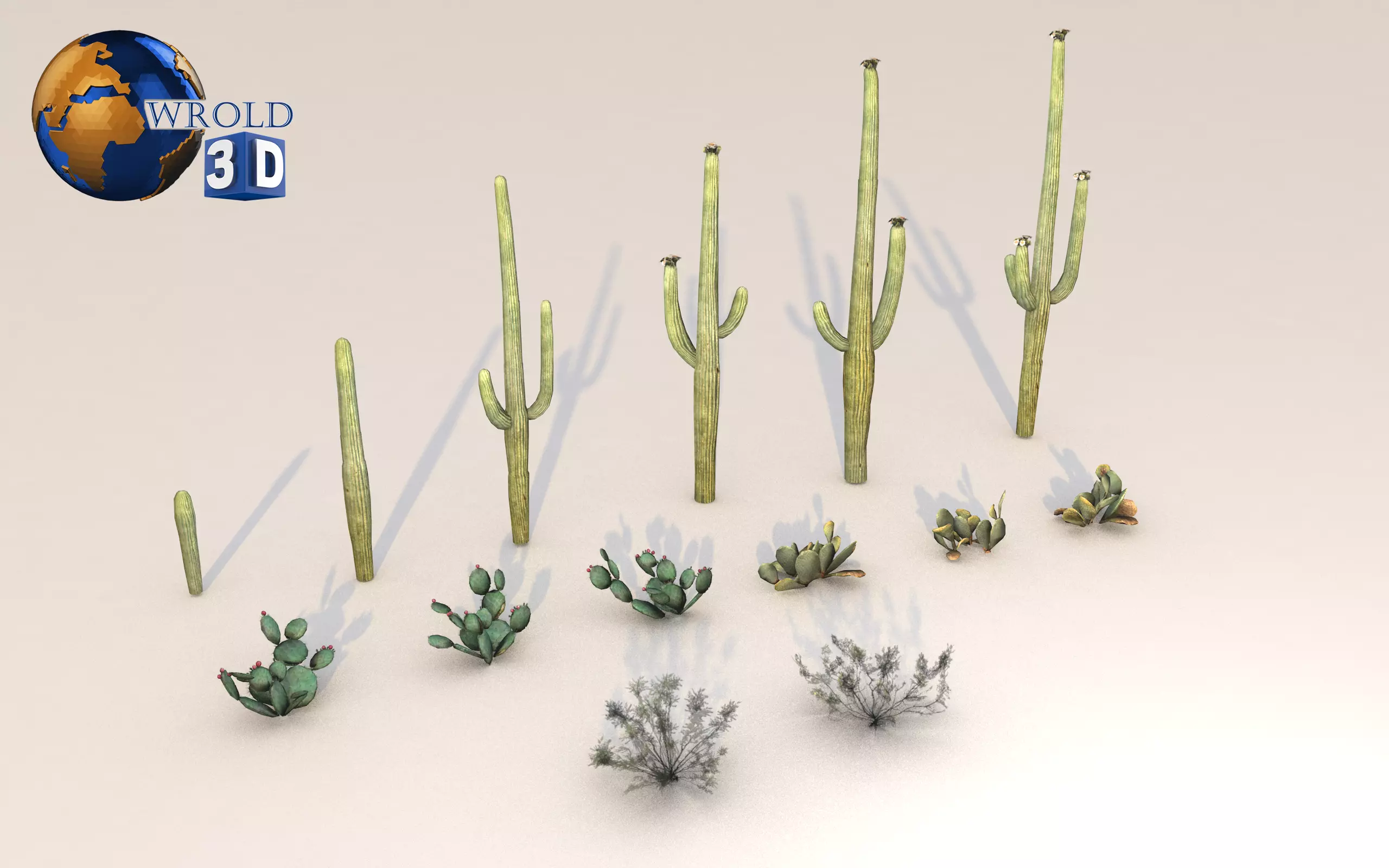 Lowpoly Desert Plant Collection Pack 3D Model Low-poly 3D model_0