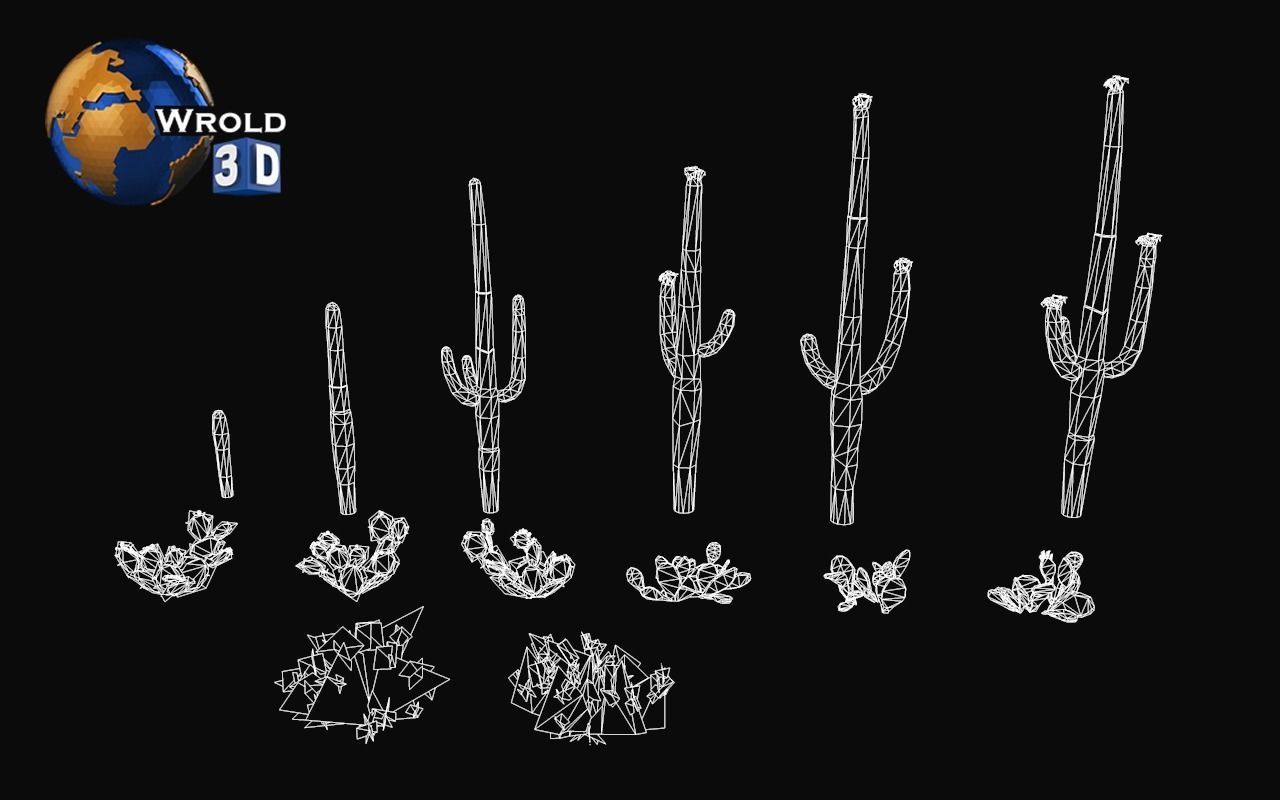 Lowpoly Desert Plant Collection Pack 3D Model Low-poly 3D model_4