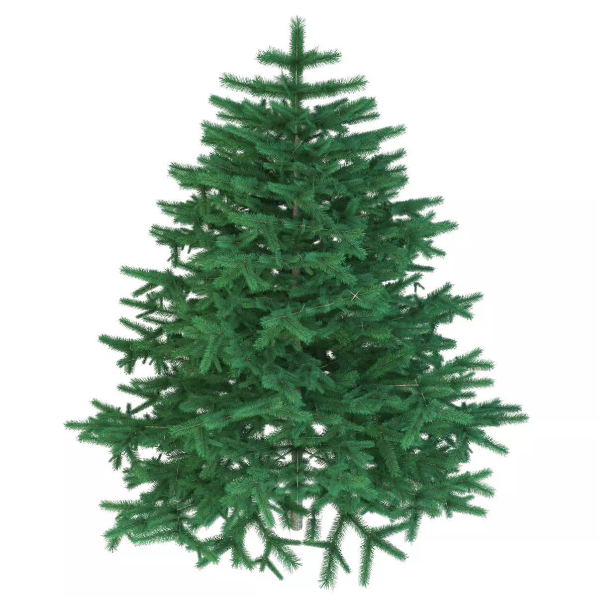 Christmas tree Low-poly 3D model_0