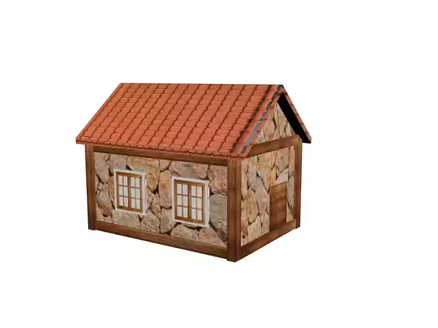 dom 1 house with roof