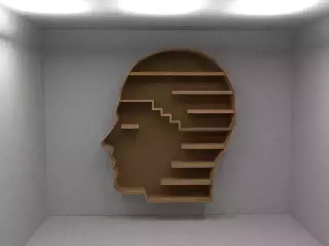 bookshelf human head