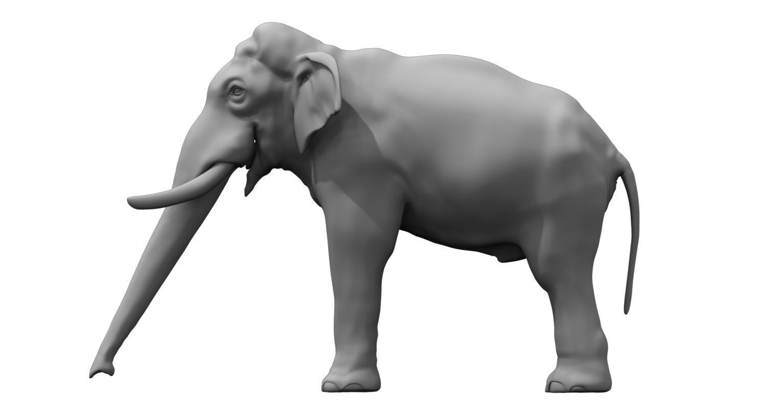 elephant 3d model 3D model_3