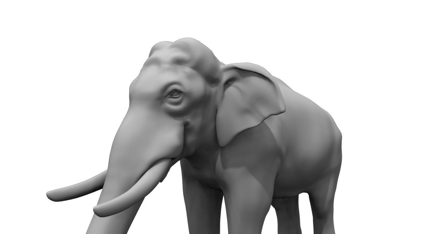 elephant 3d model 3D model_2