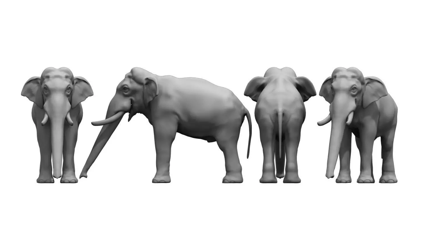 elephant 3d model 3D model_0