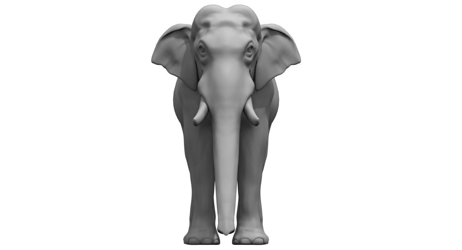 elephant 3d model 3D model_1