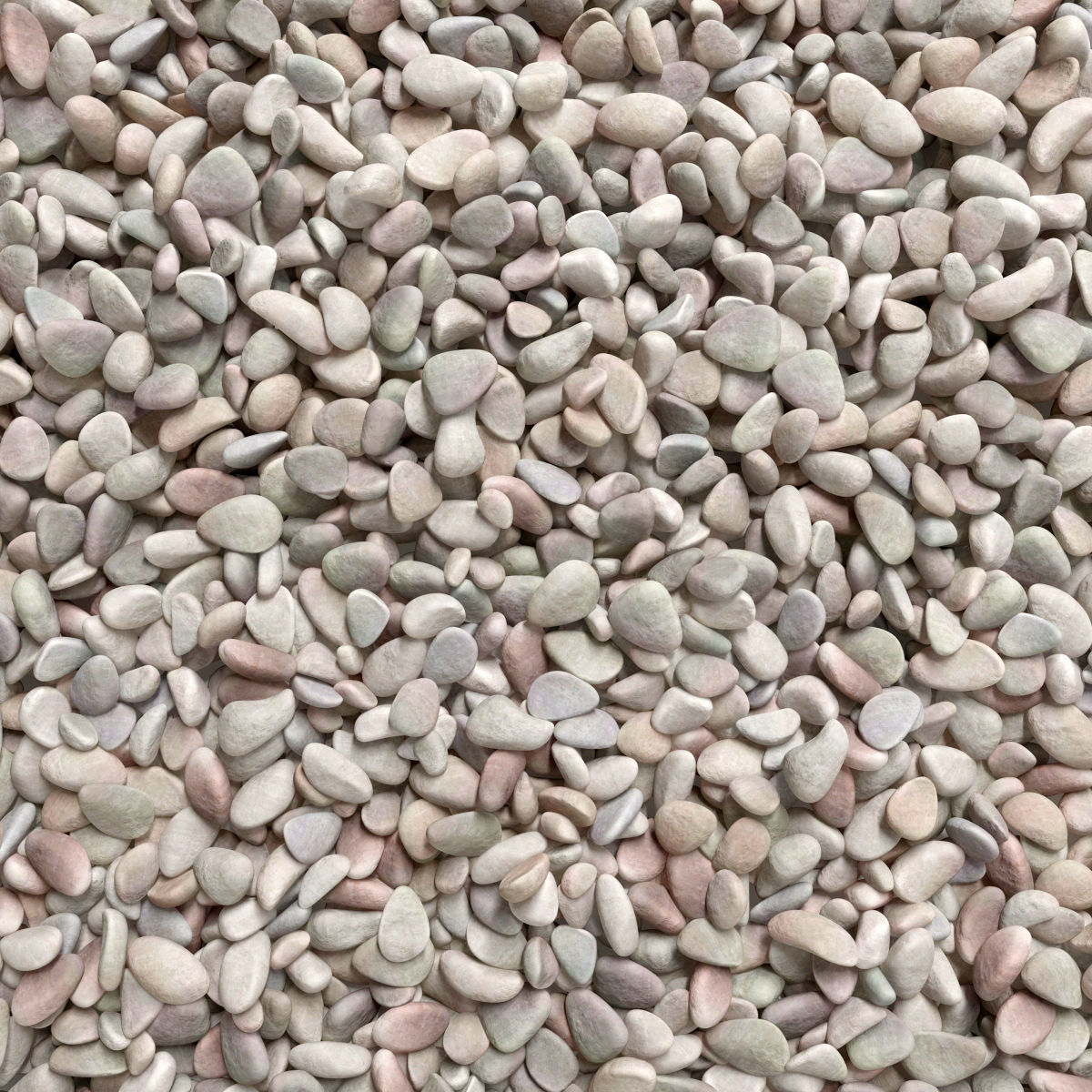 Pebble road n2 3D model_1