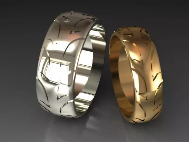 2 rings tire 2761 3D print model