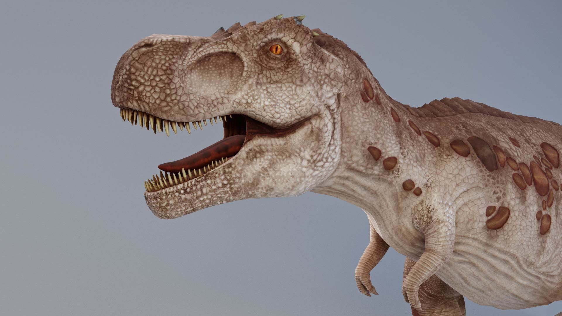 Tyrannosaurus rex rigged 3D model_9