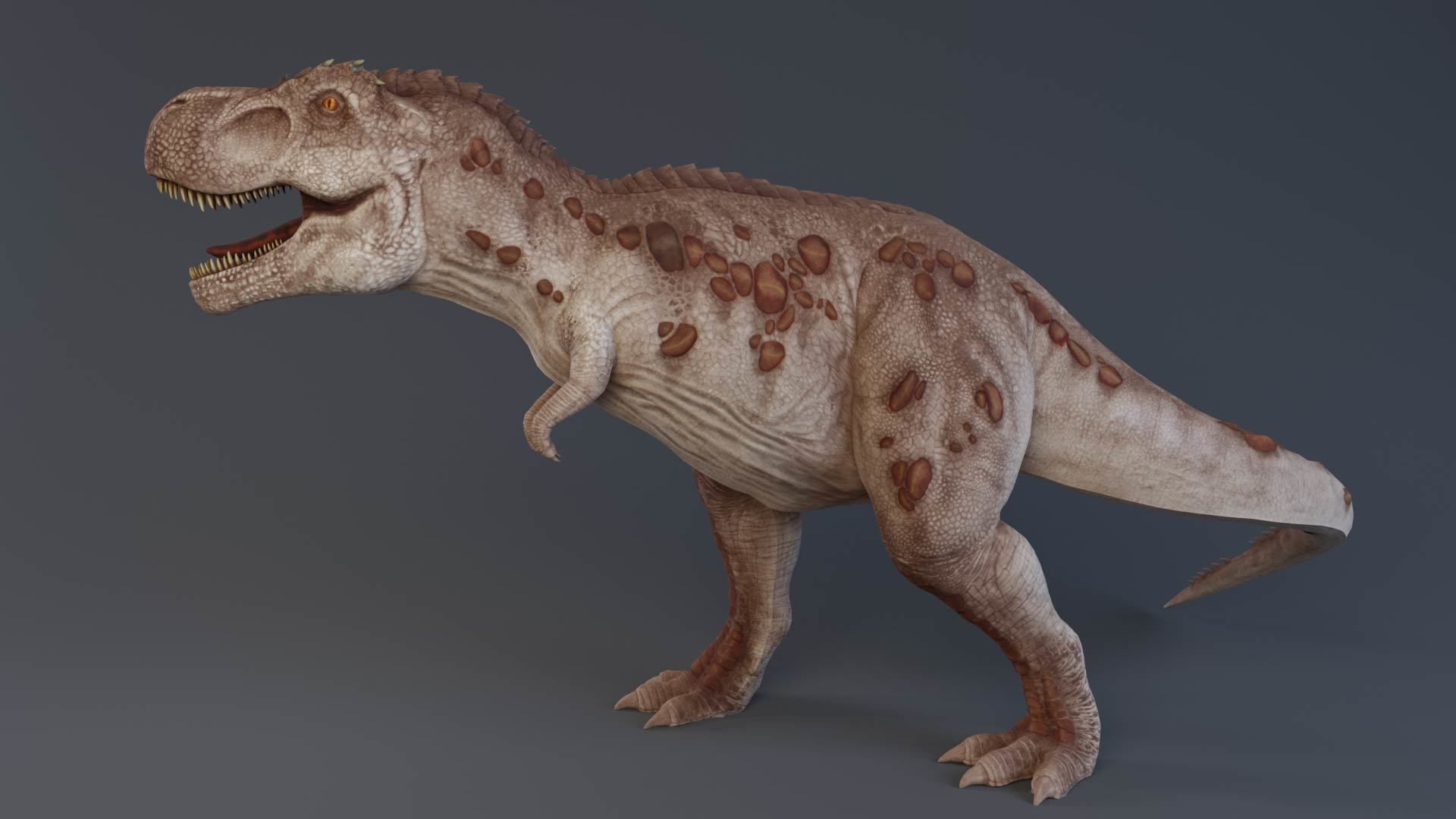 Tyrannosaurus rex rigged 3D model_1